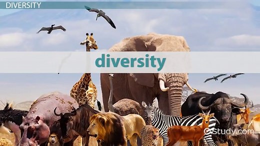 Themes in Biology: Diversity, Interdependence & Evolution