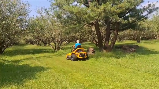 24 reactions | 美國原裝進口 Cub Cadet (卡博）ZT2 54零迴轉乘坐式割草機 | 永華企業有限公司 | Facebook