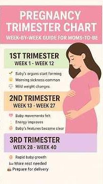“Pregnancy Trimester Chart | Week-by-Week Guide for Moms-to-Be” #healthypregnancy
