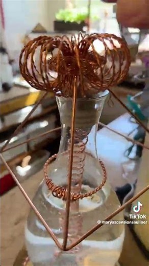 Some idea s loves 🌹🔥🍄🐉 #flameborn this is not mine it’s some body else from tick tock