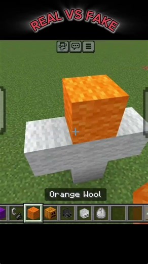 Minecraft REAL VS FAKE