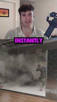 DO NOT make this mistake on NEW MAP Calypso // Free Zofia Impact Kill #r6 #r6tips