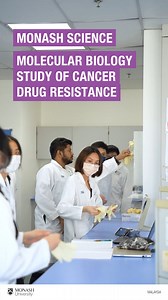 20 reactions | Delve into molecular biology foundations through undergraduate experiments with the School of Science as they dive deep into raising cancer drug resistance. This ultimately translates them into breakthroughs for improved therapies and outcomes for those fighting cancer! Explore our ongoing processes in this feature  #MonashMalaysia #CancerResearch #MolecularBiology | Monash University Malaysia | Facebook
