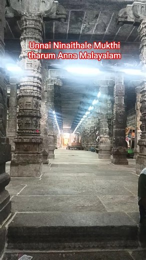 Anna Malayalam Arora#sivaya #ytshorts