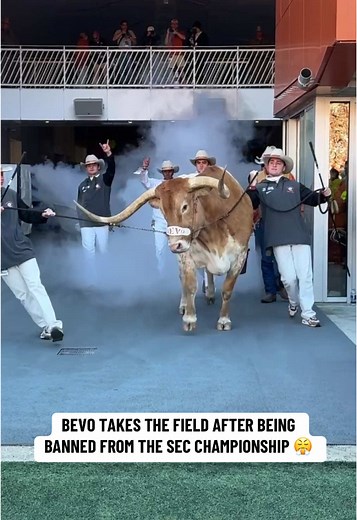 Bevo Takes the Field in College Football Return