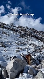1.2K reactions · 22 shares | Trek to Everest Base Camp with a trusted...