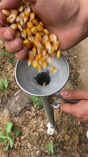 The new type of seeder makes it much more convenient to plant a plot with it#Seeder