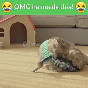 Get your cat the toy of their dreams 😻 Looks & moves like a real fish 🐟 USB rechargeable 🔋 Refillable catnip pouch with Extra Catnip! 🌿 the Original Dancing Fish Toy Available Only at: ➡ amazinglycat.com/Dancing-Fish | Amazingly Cat