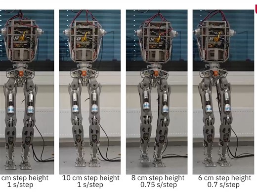 Fast Dynamic Walking with RH5 Humanoid Robot