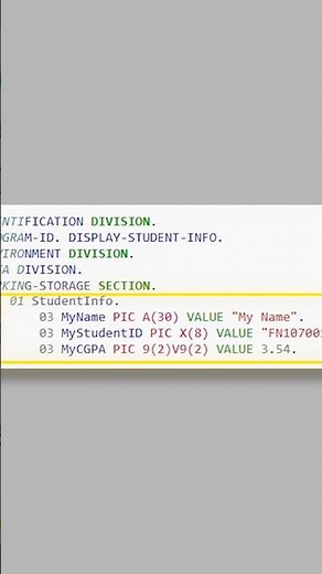 This OLD Programming Language STILL Rules the World