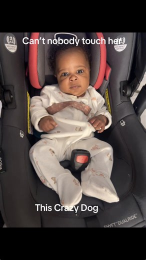 Panda Ross (@pandaross0)’s videos with PROTECTOR - Beyoncé & Rumi Carter