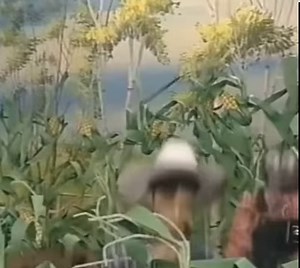 68K views · 3.6K reactions | Prince on 'Muppets Tonight,' 1997 #prince #muppetstonight #princerogersnelson #themuppetshow #muppets #theartistformerlyknownasprince #90stv #1997tvshow | Night Flight | Facebook