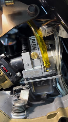 Enhance Your Vehicle's Performance with Reed Valve OKO and Level Clutch Burok