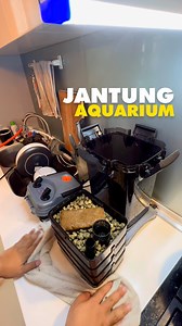 13K views · 369 reactions | review ejet 3378 youtube channel www.youtube.com/c/cubmalaysia contact dan segala social media di sini beacons.page/cub.malaysia website kedai cubmalaysia.com #aquascape #plantedtank #plantlover #aquarium #aquaticplants #fishkeeping | CUB.malaysia | Facebook