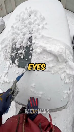 33K views · 258 reactions | Random facts | Facts man | Facebook