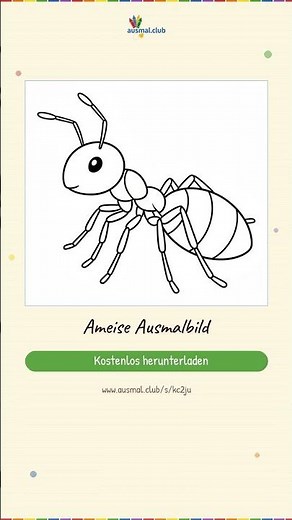 Ameise Ausmalbild | Kostenlos als PDF