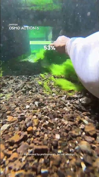 Hold Your Breath. How Long Can You Stay Down? | DJI Osmo Action 6