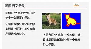 PyTorch入门——常见图像处理任务和图像定位