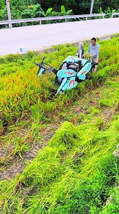1.2K reactions · 51 shares | mini rice harvester  . . . . . . . . . . #shorts #miniharvester #agriculturefarming #trendingshorts #minicombineharvester #harvester #farming | 혽홡홪홚 혾홝홚홢홥 | Facebook