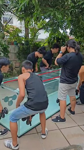 #dcaquariumservices #aquariumhobby #HandmadeFishTank #AquariumBuilder #aquariumdesign #CustomTankDesign #aquariumlife #aquariumhobbyist #DIYAquarium #fishkeeping #customaquariums #superredarowana #monstertank | DC Aquarium Services