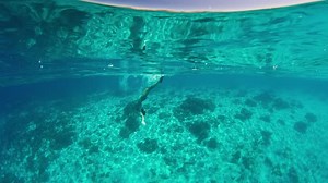 Duck dive freediving. Set of several short footages of persons doing duck dive
