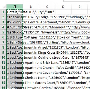 CSVをExcelに貼り付ける