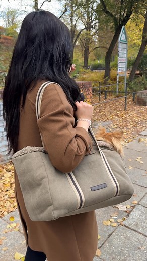 Wide selection of stylish designs. For a safe and comfortable stroll with your dog. | Cloud7