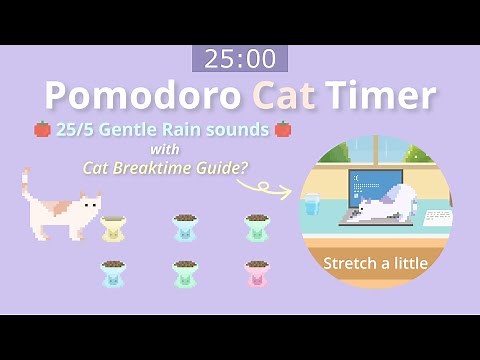 Pomodoro Cat Timer 25/5 ⏰ Let's Focus and Get Homework / Work Done in 1 Hour! ☔ Gentle Rain Sounds