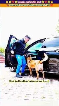 जब वफादारी को अपमान मिला तब इंसानियत रो पड़ी 😭🙏 #animal #animals #animallover #dog
