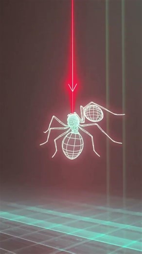 Ants Survive Skyscraper Falls