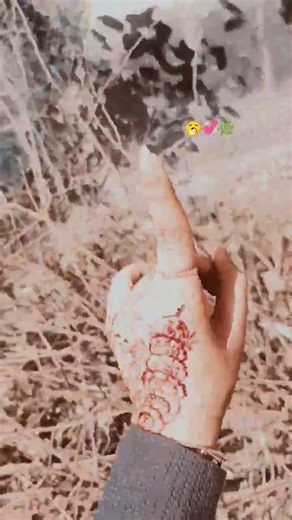 বল ঝাপ দেবে কি🌿#hand #dance #shortvideos #youtubeshorts