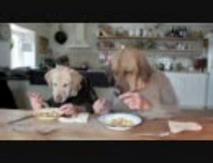 ナイフとフォークで器用に食事する犬たち