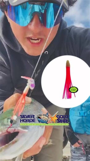 SLIVER HORDE AND GOLD STAR micro shrimp Soft, supple squids mimic the action of natural bait. The strong, elastic bodies exhibit durability cast after cast. Preset with tandem #4 Red Hooks or Pink UV Hooks and 24" leader. Great for trolling for Kokanee. Length: 1.5" #fishingwithseabass #bestbytest | Fishing with Seabass