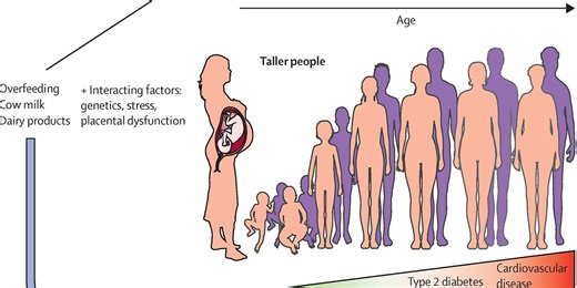 Why Shorter People Live Longer (and How Muscle Changes the Game)