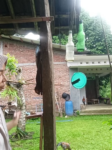 Chimi Suka Tempe: Hujan dan Kehangatan Bersama