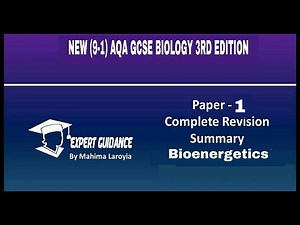 New (9-1) AQA GCSE Biology Bioenergetics complete Revision Summary | Teaching Resources