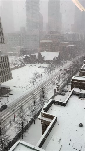 Nepalikancha007 (@nepalikancha007)’s videos with Snow Falling Outside My Window - Amel Music