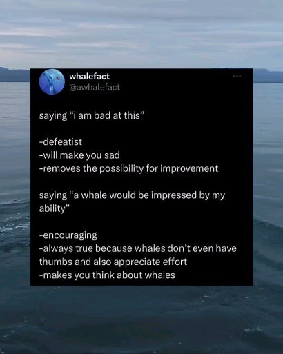 3.5K views · 56 reactions | From @awhalefact . It's completely true! | Bad Science Jokes | Facebook