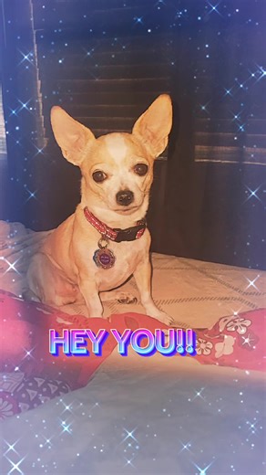 Denise Edwards Gen❌️ on TikTok