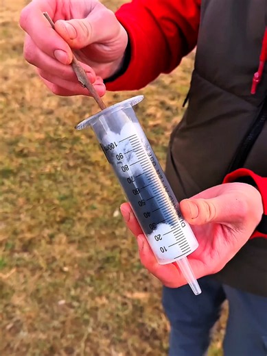 Essential Bushcraft Survival Hacks for Forest Camping