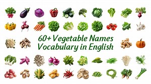 [4K] 60 蔬菜英文名词汇合集 Vegetable Names Vocabulary in English