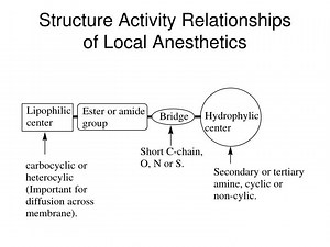 Structure Activity Relationships of Local Anesthetics - SlideServe