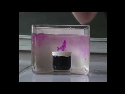 Expérience CE1D Sciences 2016 - Fuide !