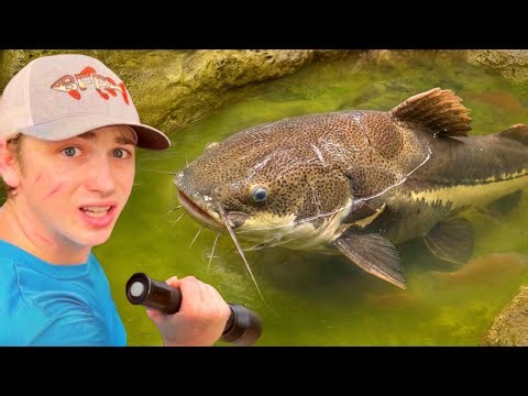 Έσωσα ψάρια που ζούσαν εγκαταλελειμμένα σε βρώμικη, πράσινη λίμνη!