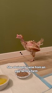 324K views · 11K reactions | Lancaster County is one of the largest...