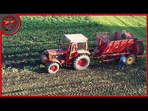 Retro Farming Denmark Beet harvest 70/80 maskineri #retro