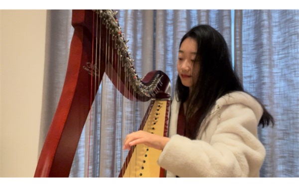 Adrian von Ziegler - A celtic lore & Celtic tale | 竖琴纯音乐 cover 【芦丁吟Rutinschrei】