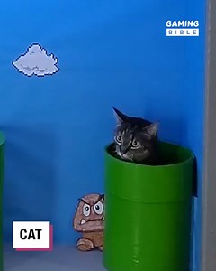 4.8M views · 43K reactions | Cat vs Super Mario level   | GAMINGbible | Facebook