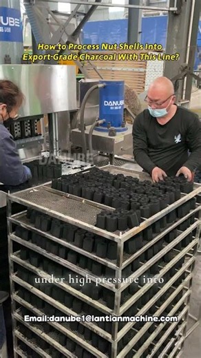 Nut Shell Charcoal Production Line – Carbonization to Briquetting (Custom Shapes)