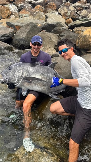 22K views · 369 reactions | 55 kegga GT #fishing #fishinglife #ulua #gt #gianttrevally #massive #cool #fish #catchandrelease #landbased #landbasedfishing #bkkaroundtheworld #bkk #okuma | robbies_gt_fishing_charters | Facebook